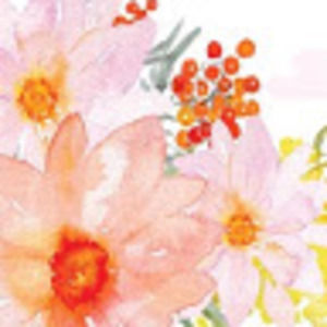 Meet your Posher, L and m